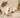 Cat beside a bowl of wet food in a warm, minimalist kitchen