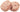 GranataPet Symphonie No.4 Salmon & Turkey grain-free wet cat food