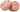 GranataPet Symphonie No.1 Beef & Poultry grain-free wet cat food