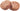 Tuna & Duck pâté – supports immunity and joints