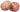GranataPet Duck & Poultry grain-free wet cat food – DeliCATessen