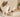 Cat beside a bowl of wet food in a warm, minimalist kitchen