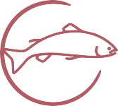 Salmon oil